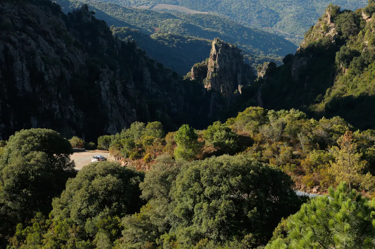 WRC Corsica 2015: Latvala (VW Polo R) Overall (19)