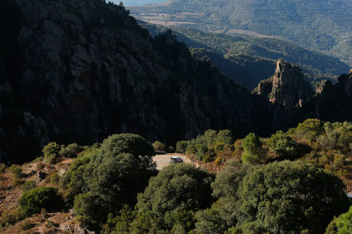 WRC Corsica 2015: Latvala (VW Polo R) Overall (21)