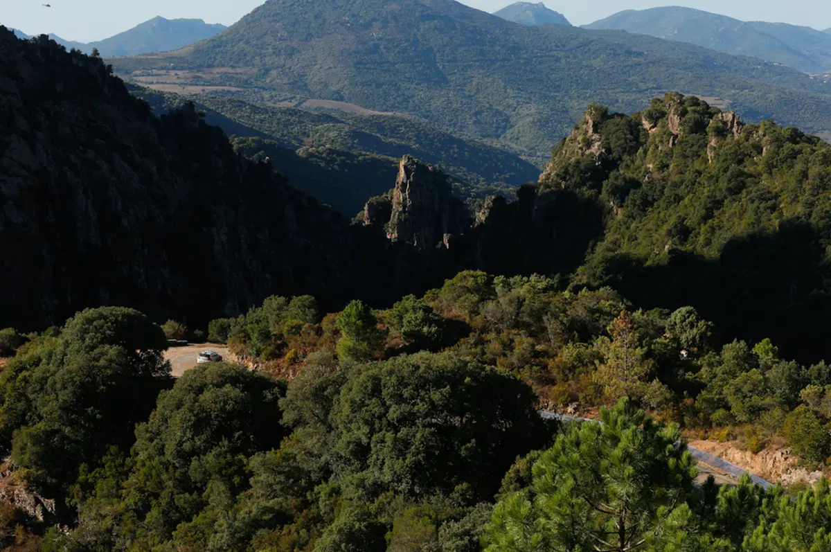 WRC Corsica 2015: Latvala (VW Polo R) Overall (23)