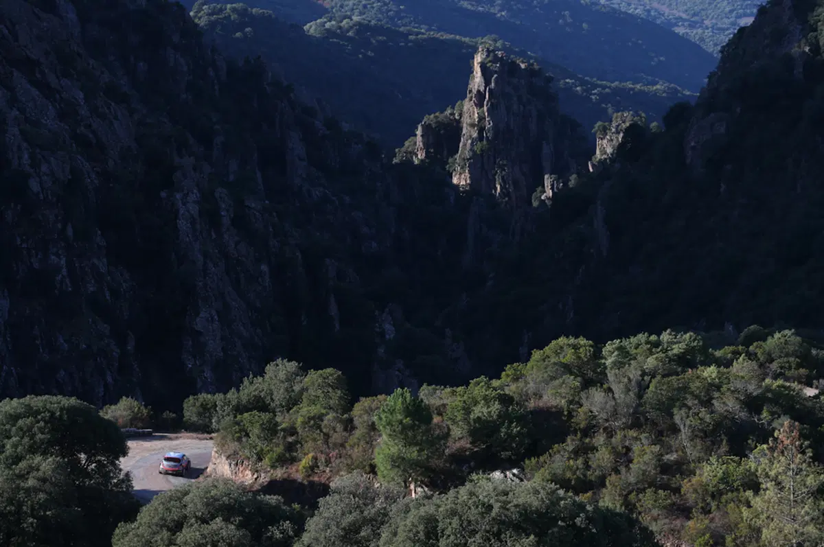 WRC Corsica 2015: Latvala (VW Polo R) Overall (29)