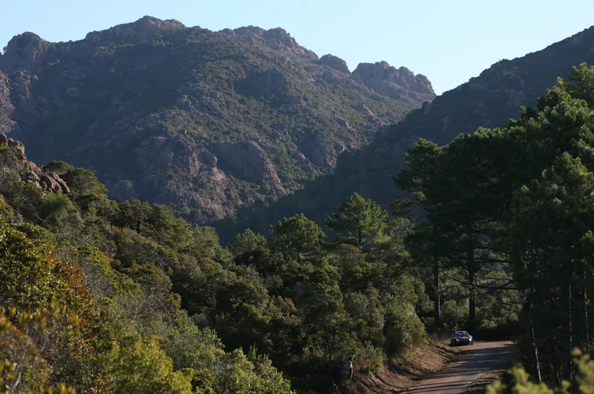 WRC Corsica 2015: Latvala (VW Polo R) Overall (30)