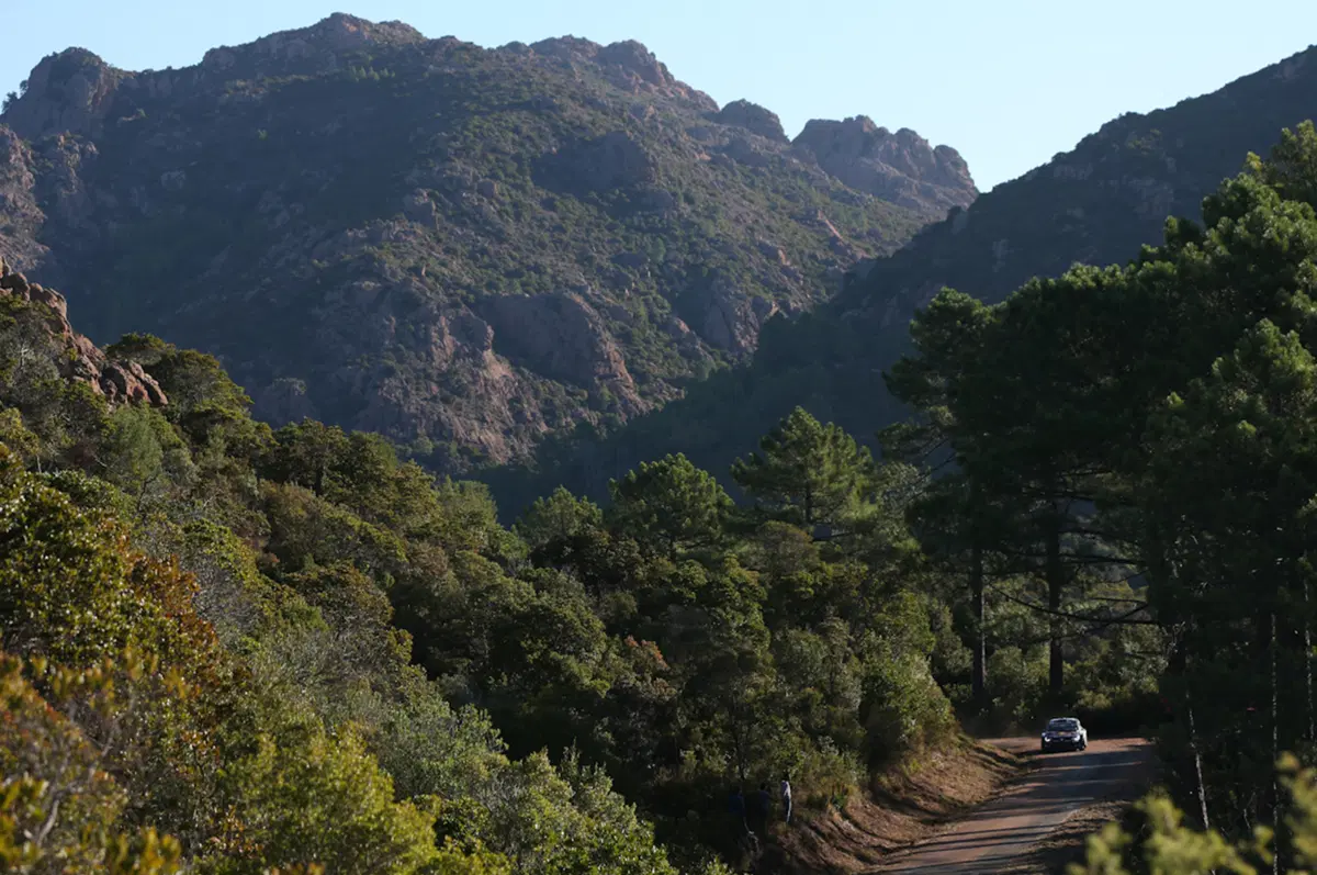 WRC Corsica 2015: Latvala (VW Polo R) Overall (31)