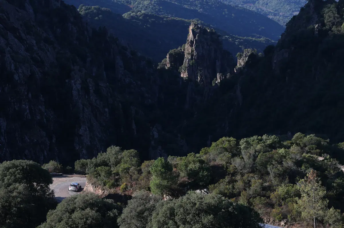 WRC Corsica 2015: Latvala (VW Polo R) Overall (32)