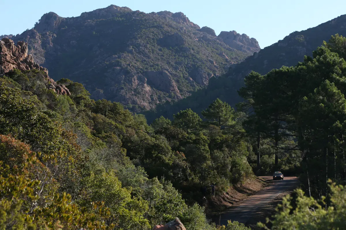 WRC Corsica 2015: Latvala (VW Polo R) Overall (33)