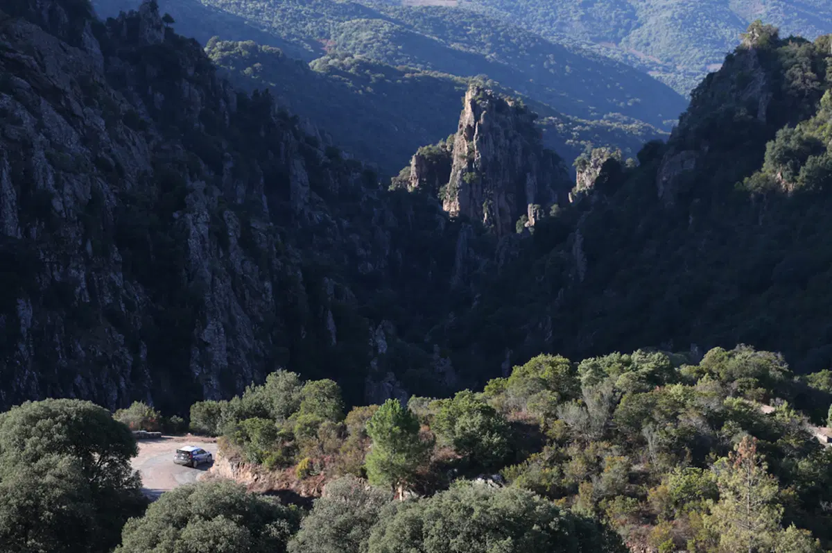 WRC Corsica 2015: Latvala (VW Polo R) Overall (34)