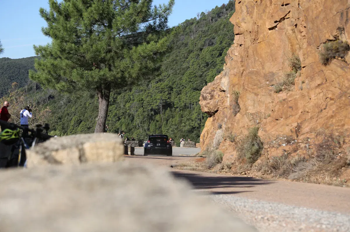 WRC Corsica 2015: Latvala (VW Polo R) Overall (41)