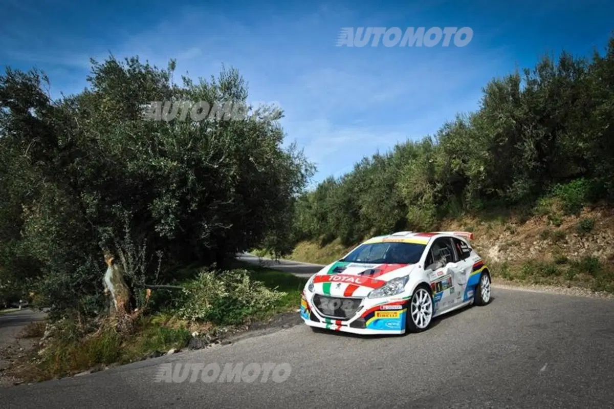 CIR 2015. Rally 2 Valli. Andreucci (Peugeot) e via (13)