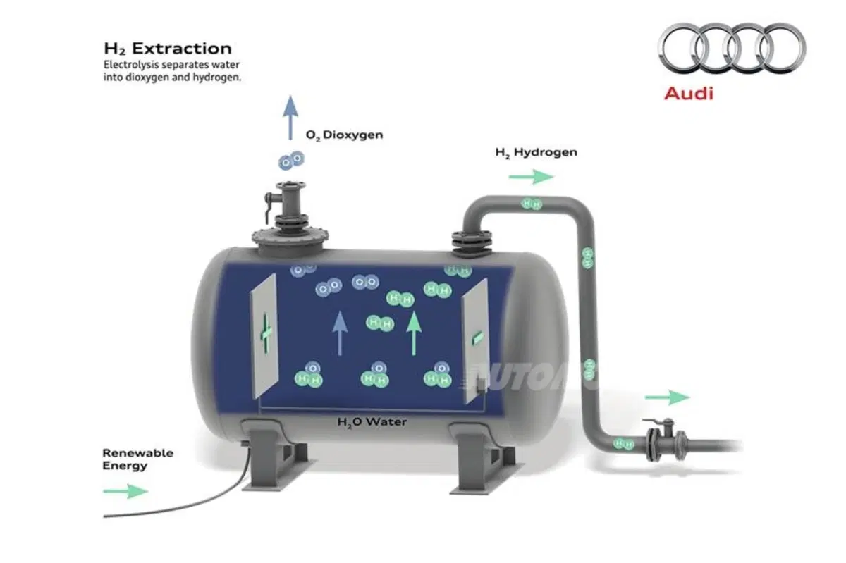 Wiegand, Audi: «Limiti di CO2 sempre più rigidi? Il metano può essere una risposta» (8)