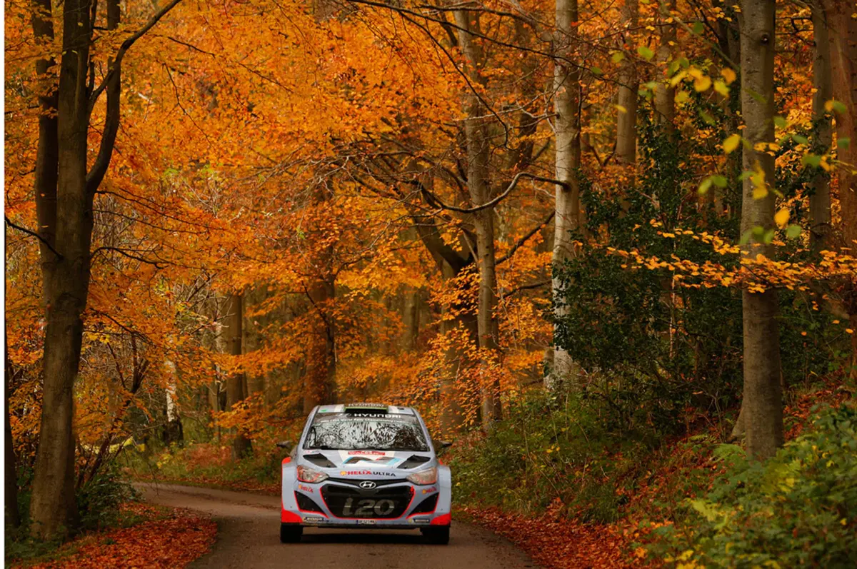Paddon: «Sogno il titolo WRC, fortunato a lavorare con Hyundai» (4)