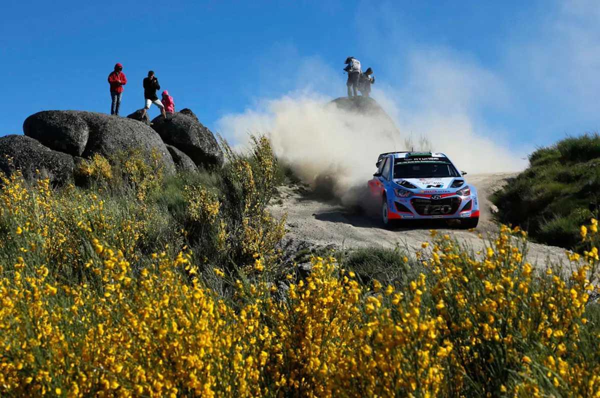 Paddon: «Sogno il titolo WRC, fortunato a lavorare con Hyundai» (15)