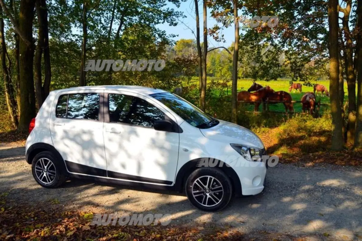 Suzuki Celerio Country, country style (7)