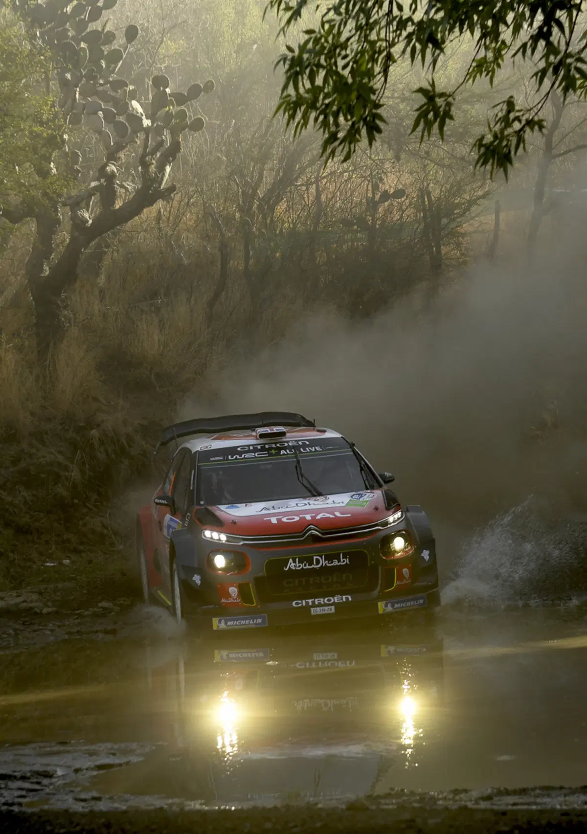WRC18 Mexico. Incredibile Ogier (Ford M-Sport) (14)