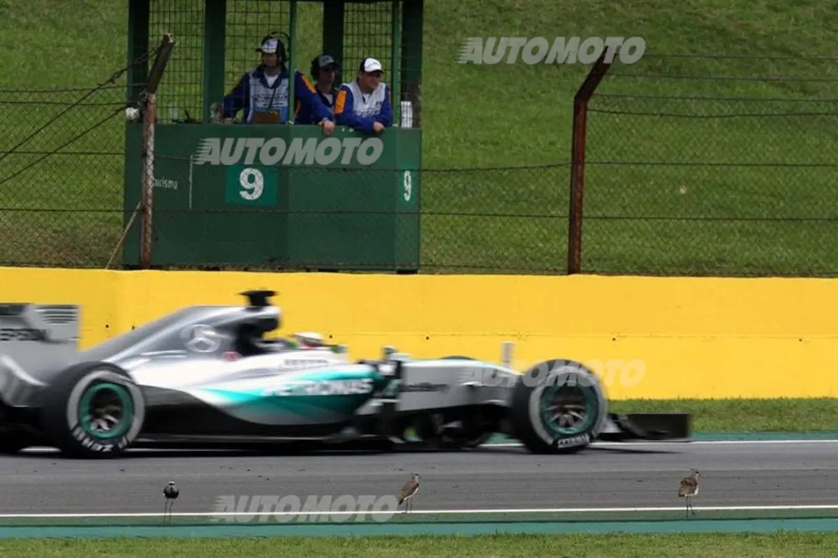 F1, Gp Brasile 2015: Ferrari, la strada per raggiungere la Mercedes è lunga (39)
