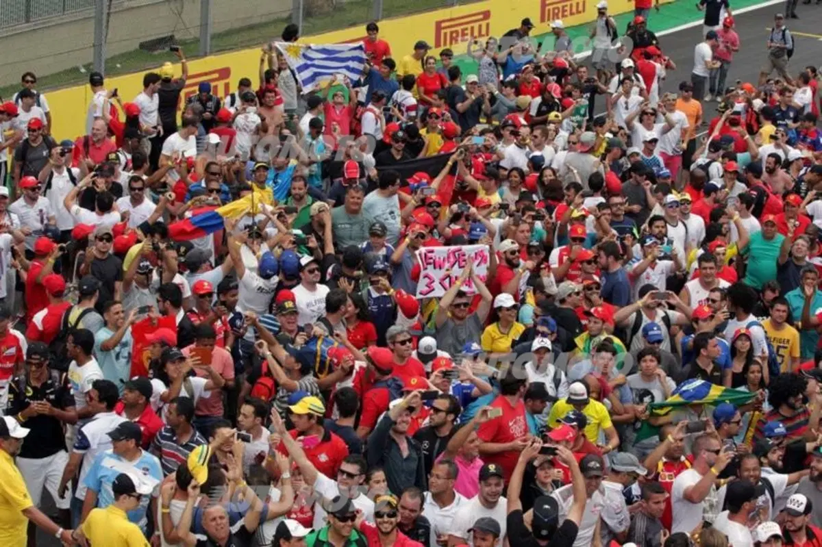 F1, Gp Brasile 2015: vince Rosberg. Vettel terzo (77)