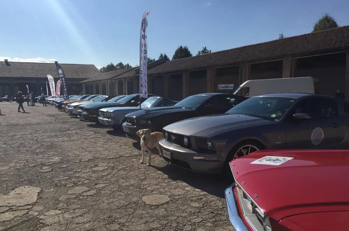 Ford Mustang: un raduno per sognare [Video] (16)