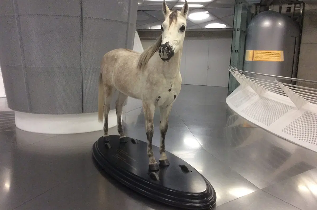 Mercedes, il Museo di Stoccarda si arricchisce della F1 di Hamilton (26)