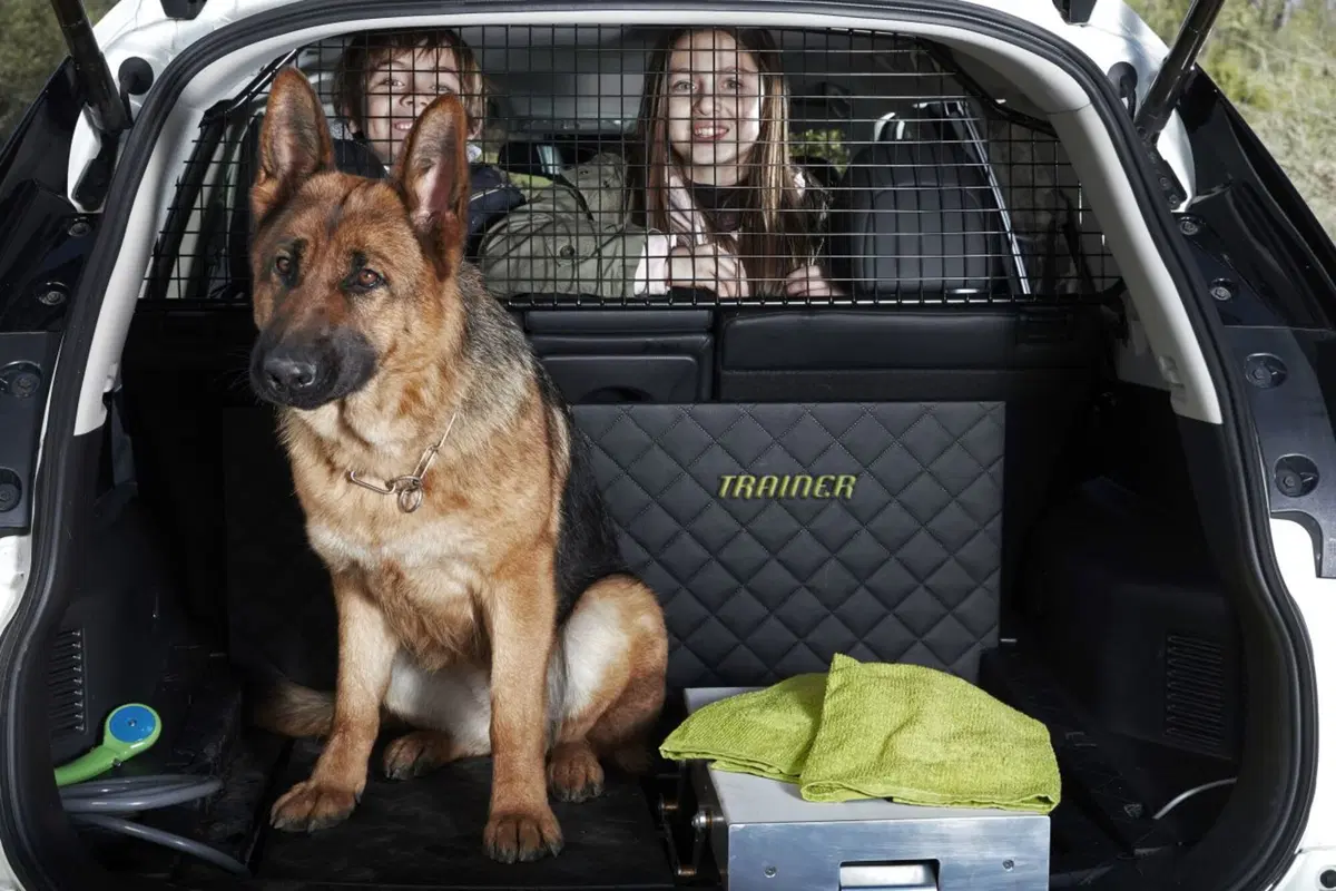 Nissan X-Trail Trainer, dedicata a Fido (4)
