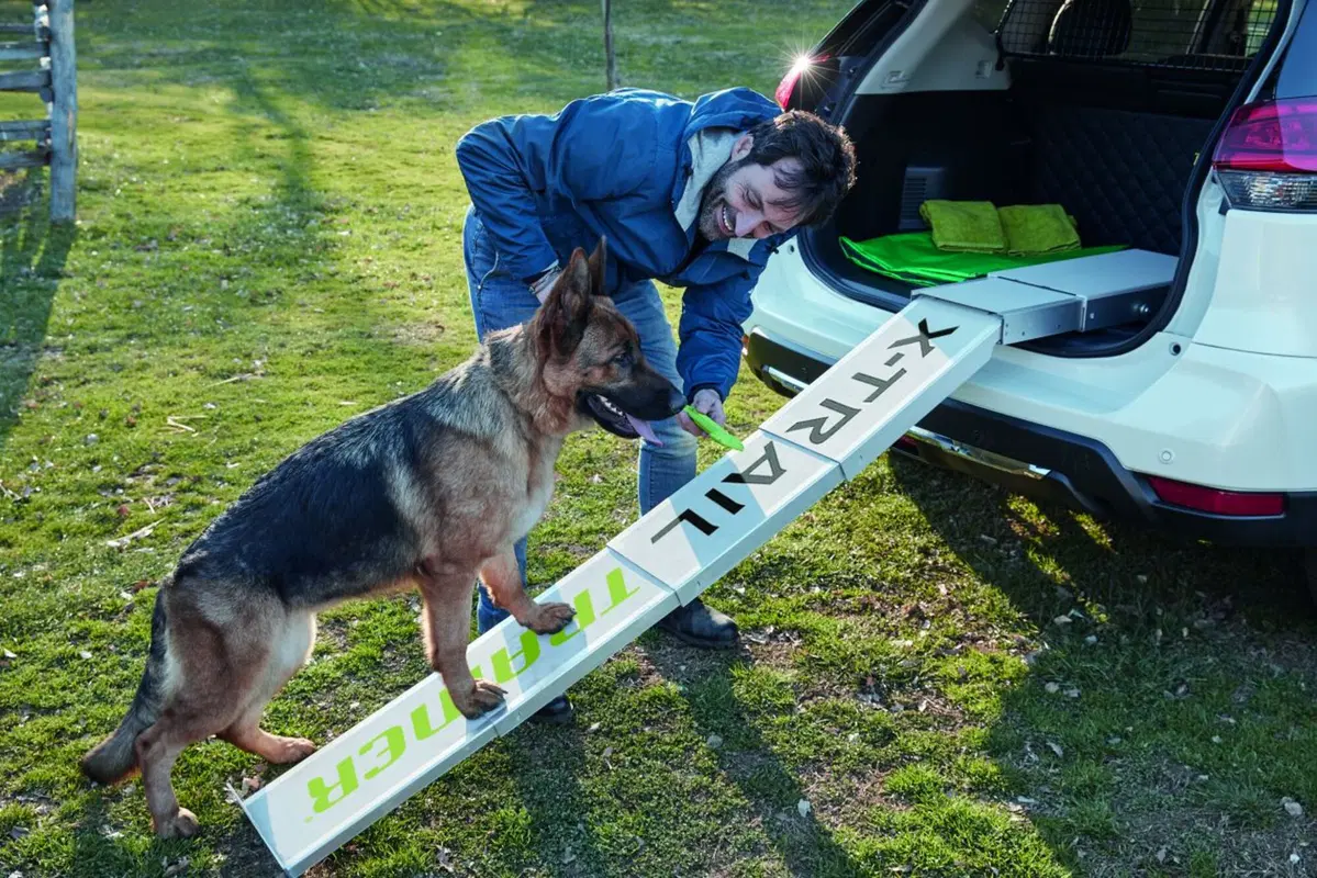 Nissan X-Trail Trainer, dedicata a Fido