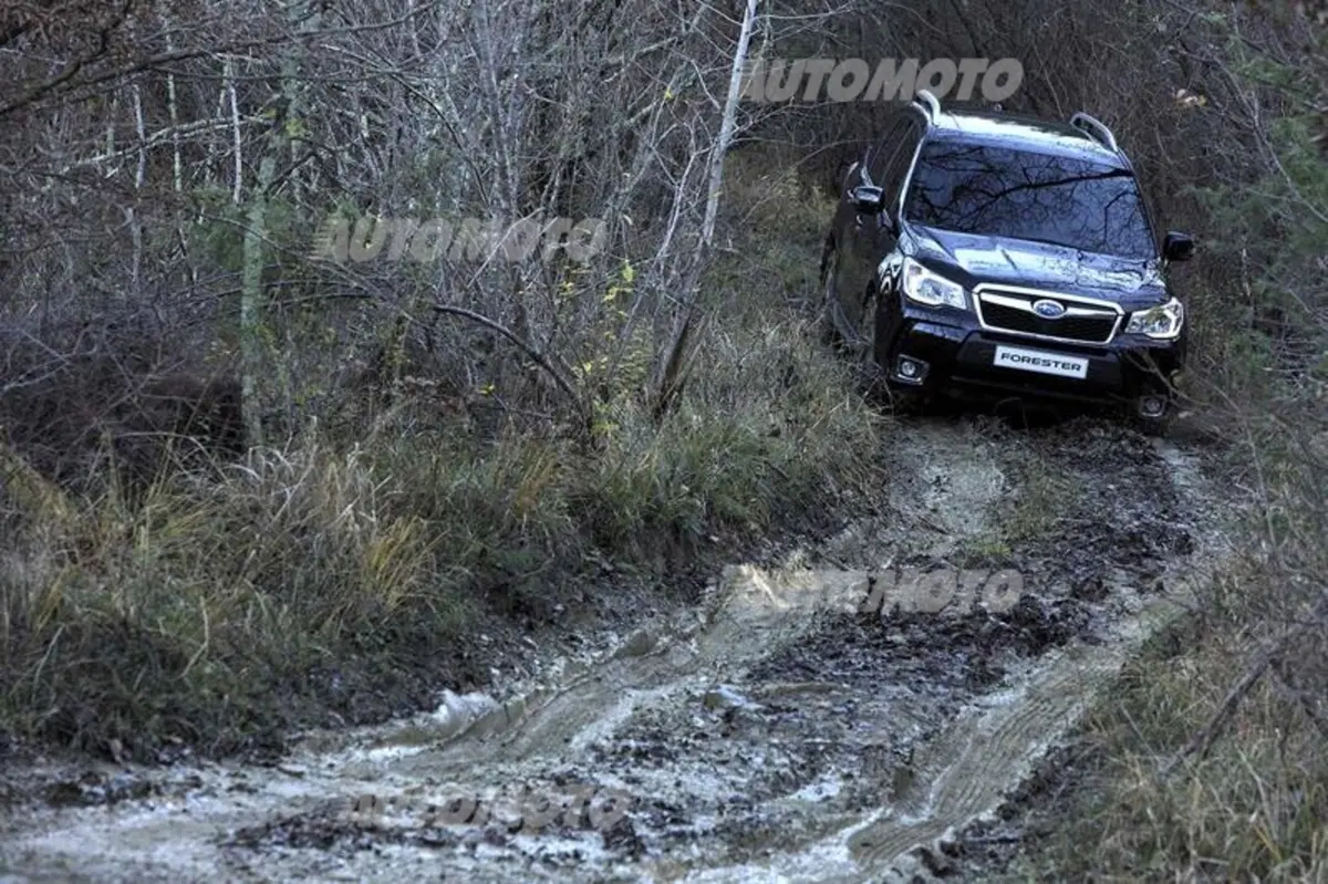 Subaru Forester Diesel Lineartronic (3)
