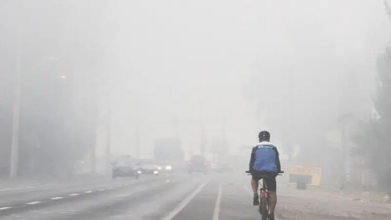 PM10, PM2,5, NOx (cancerogeni?), soglie di allerta, morti premature, leggende e verit&agrave;