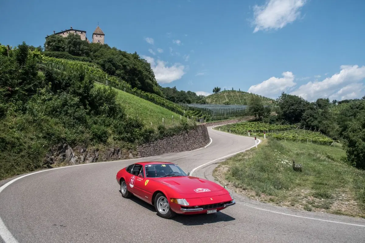 Dal 6 all'8 luglio la 33esima Stella Alpina (3)