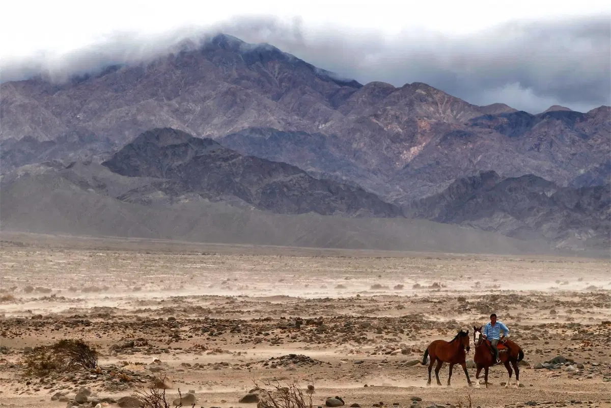Dakar 2016. Il volo di Svitko (KTM) e Peterhansel (Peugeot) (3)