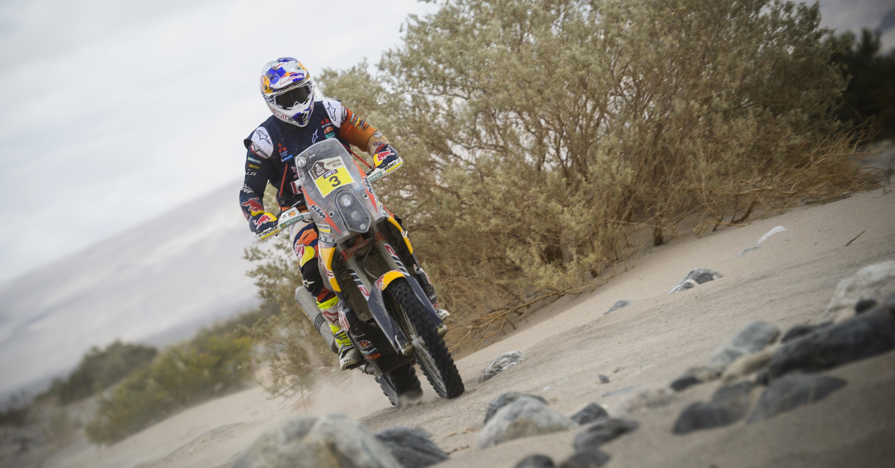 Dakar 2016. Live Day 11: vincono Meo (KTM) e Al Attiyah (Mini)