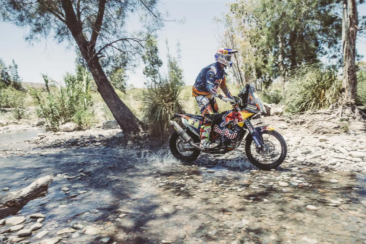 Dakar 2016. Live Day 12 (3)