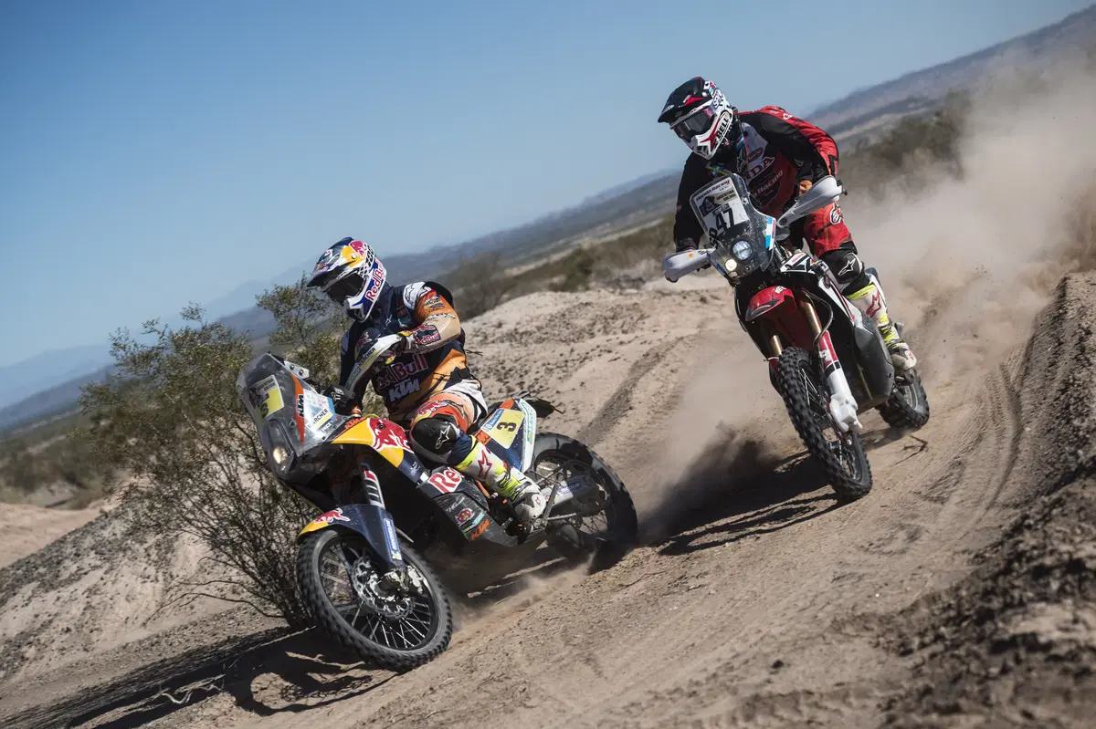 Dakar 2016. Live Day 12 (4)