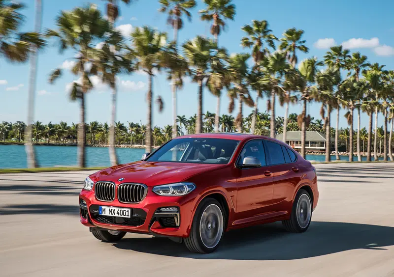 BMW X4 (2018-25) (31)