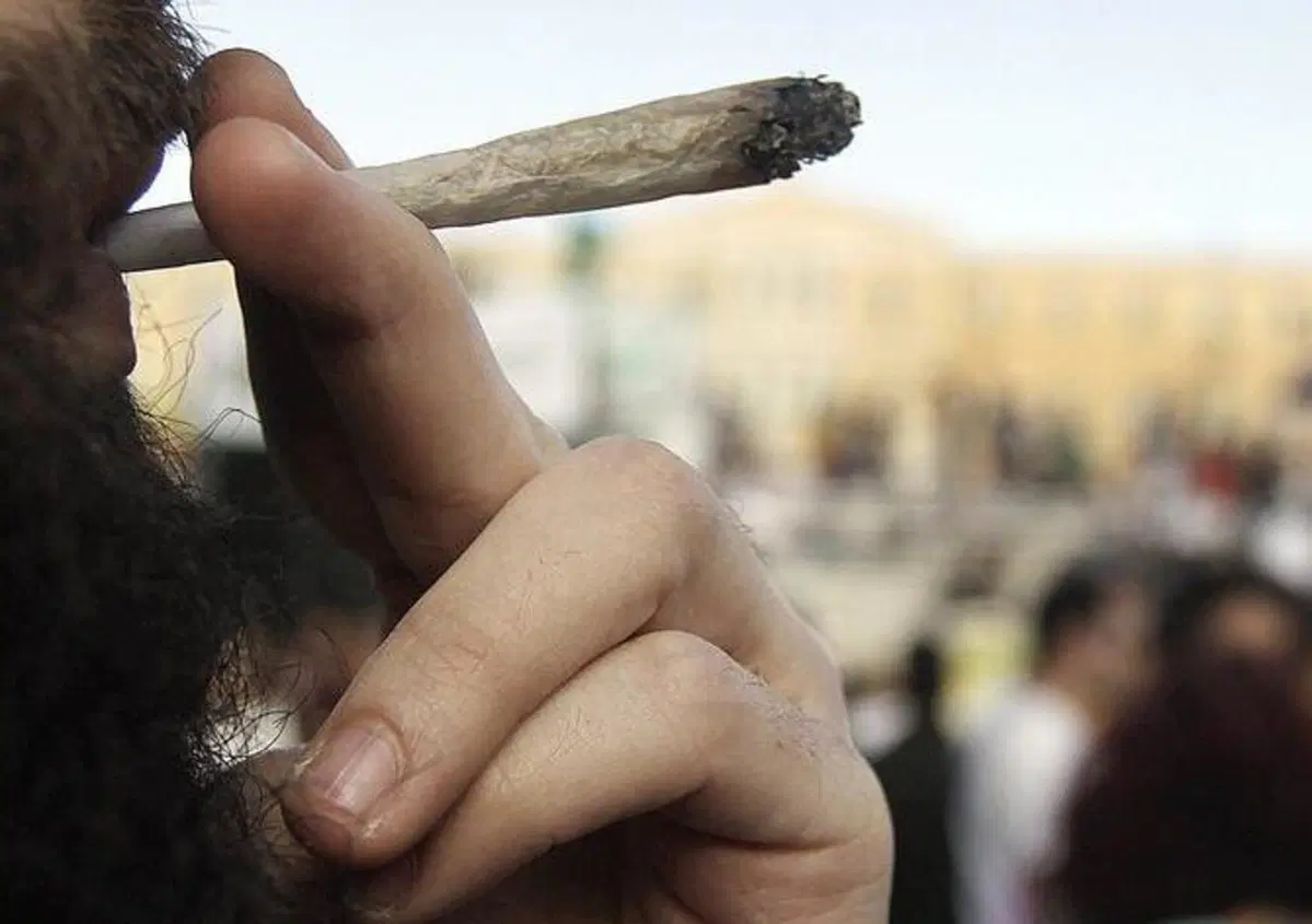 Cannabis legale: si pu&ograve; guidare dopo aver fumato?