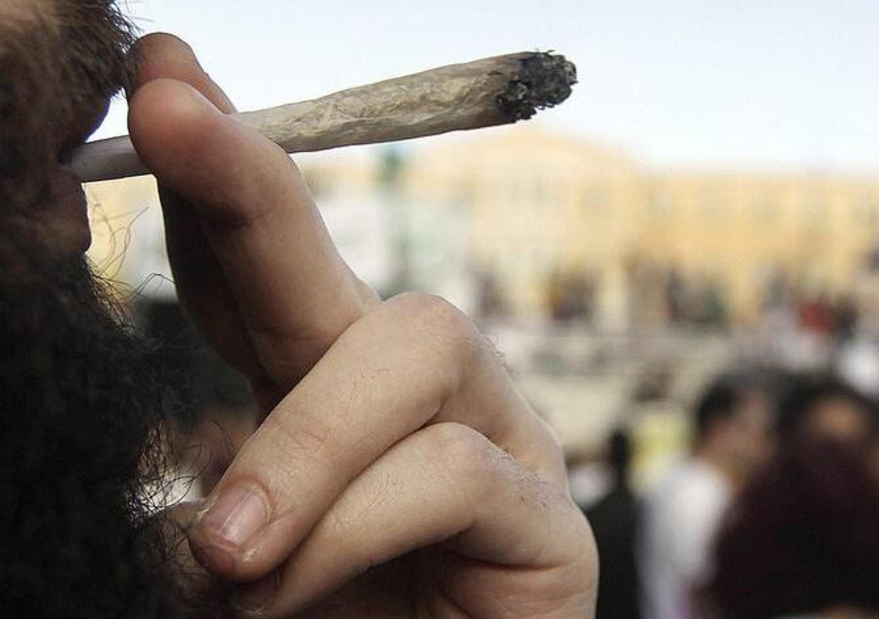 Cannabis legale: si può guidare dopo aver fumato? - News 