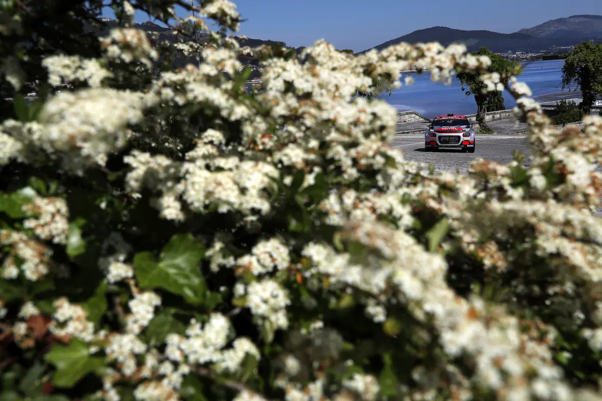 WRC18 Italia Sardegna. Ecco spuntare il miglior Ogier (Ford M-Sport) (76)