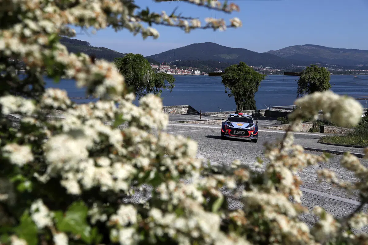 WRC18 Italia Sardegna. Ecco spuntare il miglior Ogier (Ford M-Sport) (77)