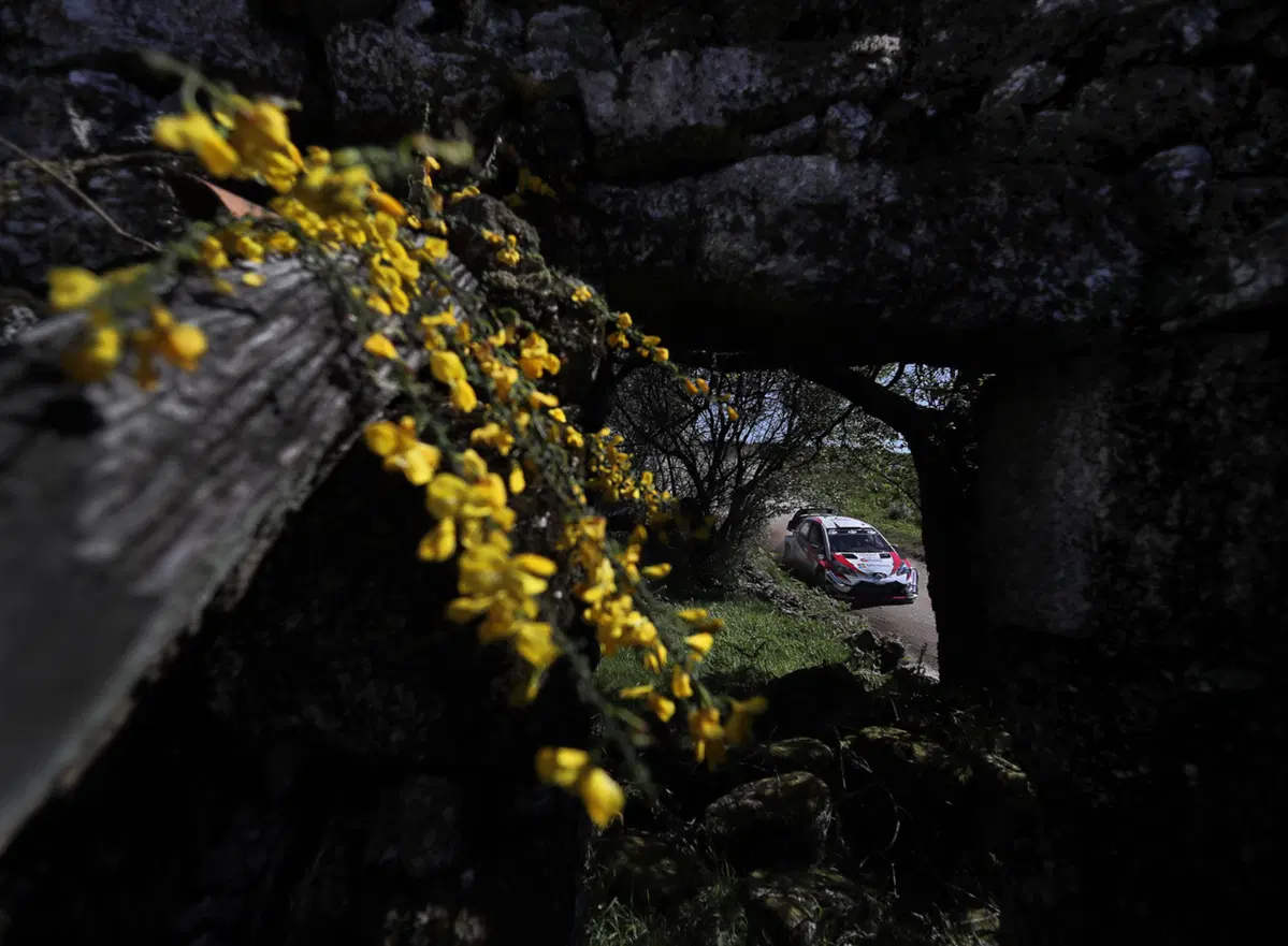WRC18 Italia Sardegna. Ecco spuntare il miglior Ogier (Ford M-Sport) (84)
