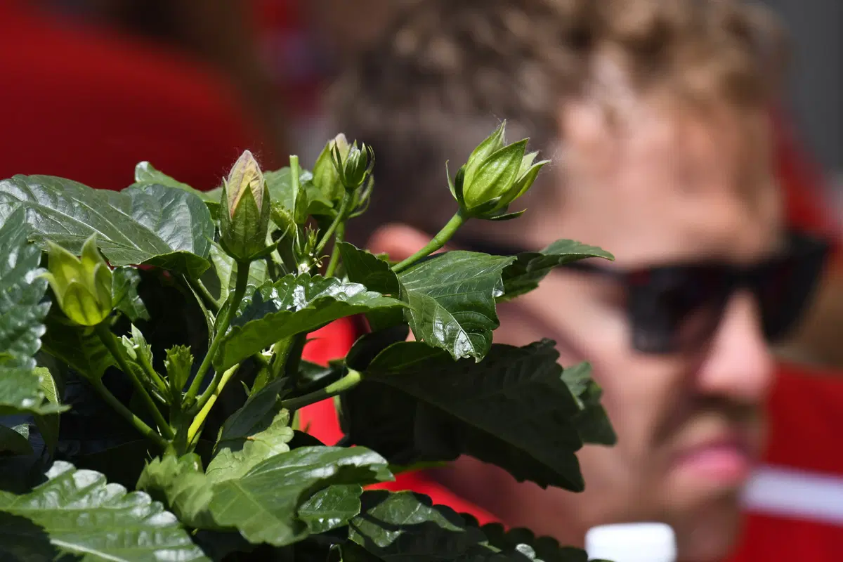 F1, GP Canada 2018, FP3: Verstappen al top (9)