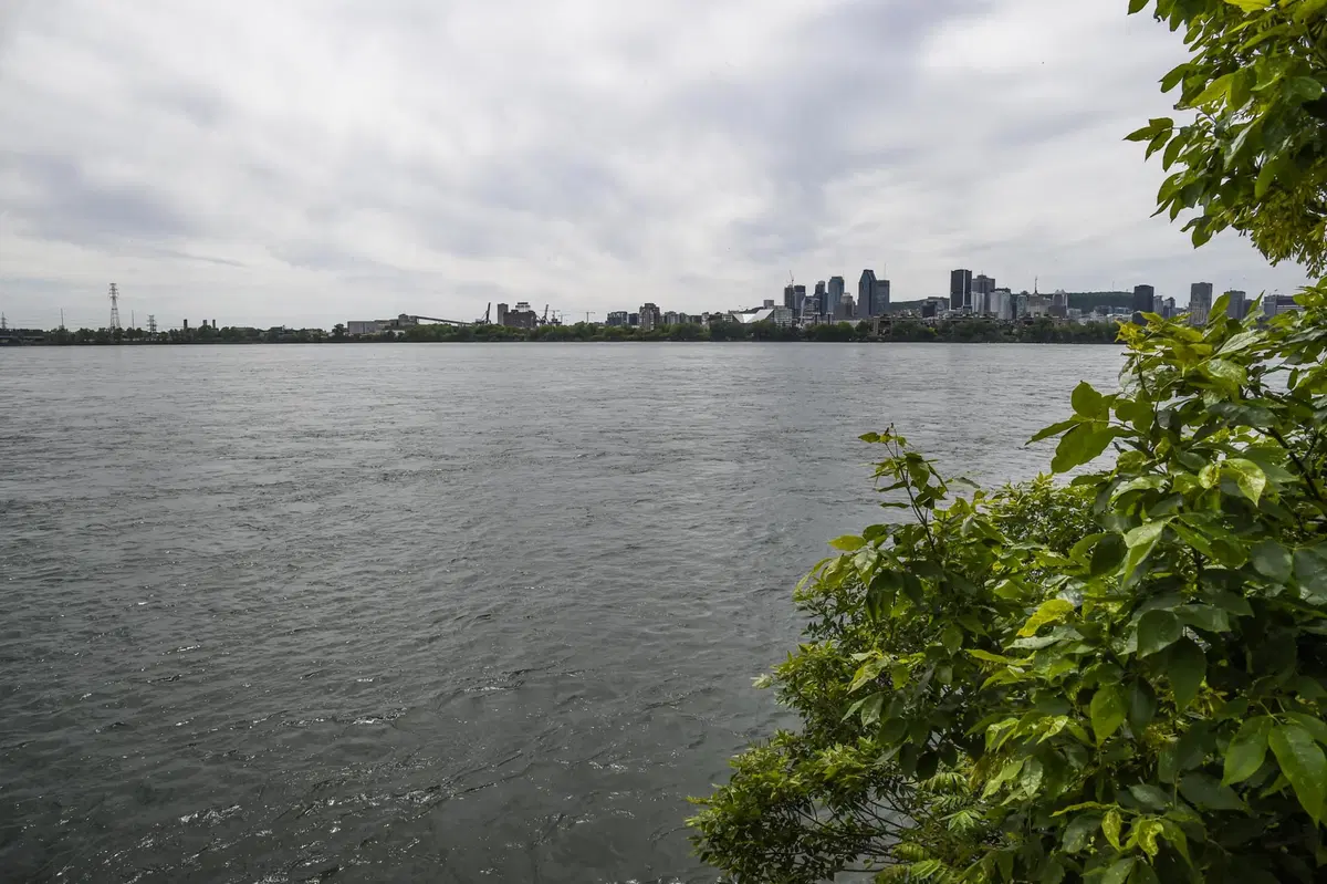 F1, GP Canada 2018: le pagelle di Montréal (18)
