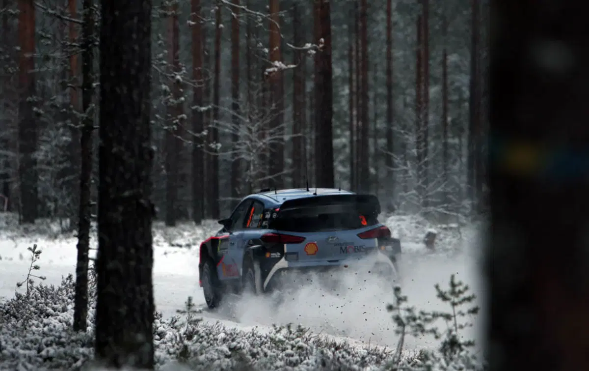WRC16 Svezia. La “Fortuna” di Ogier (VW)! (41)