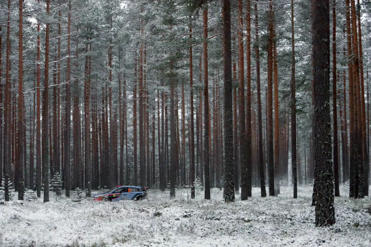 WRC16 Svezia. La “Fortuna” di Ogier (VW)! (43)