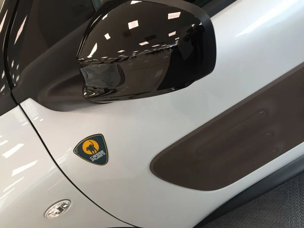 Citroen C4 Cactus Ciesse Piumini, arriva la prima limited edition (3)
