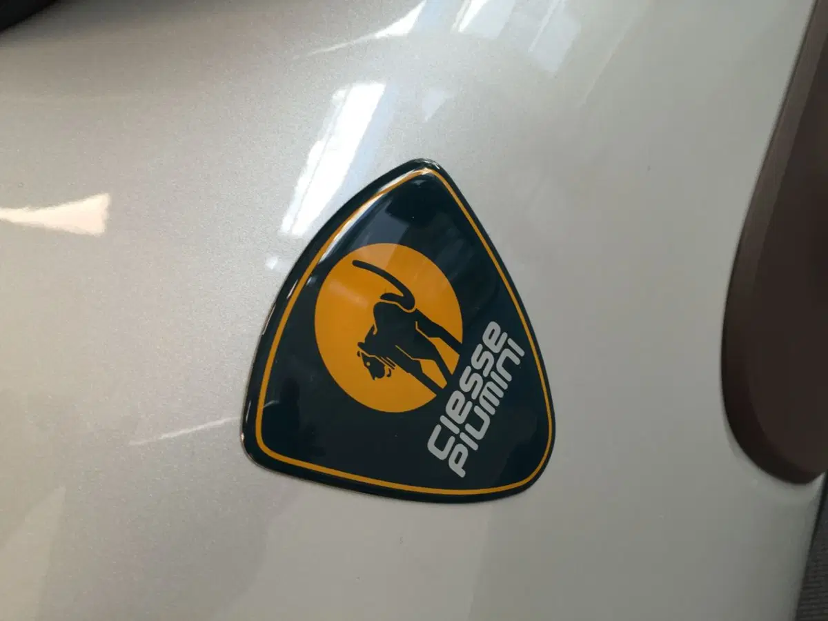 Citroen C4 Cactus Ciesse Piumini, arriva la prima limited edition (4)