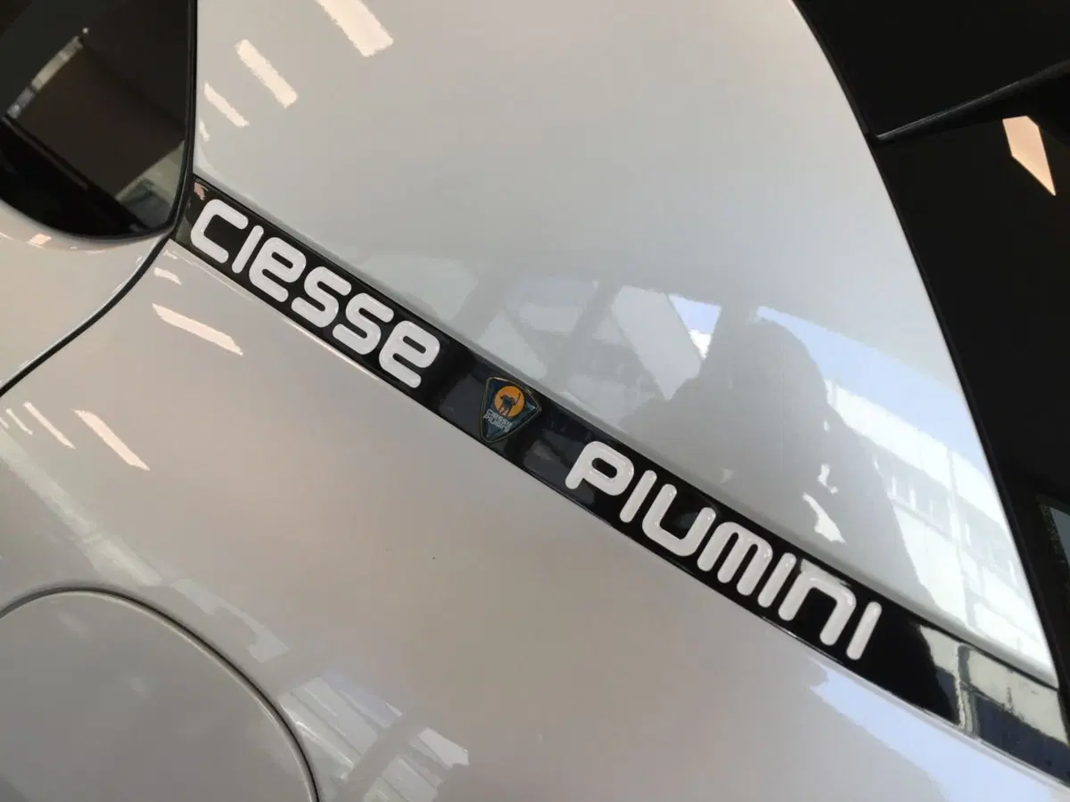 Citroen C4 Cactus Ciesse Piumini, arriva la prima limited edition (5)