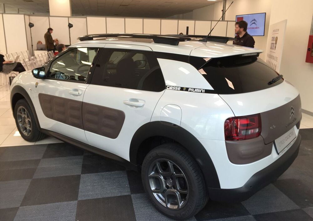 C4 cactus clearance ciesse