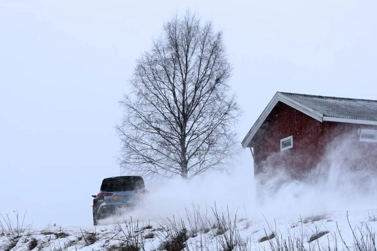 WRC 2016 con Hayden Paddon: Svezia (7)