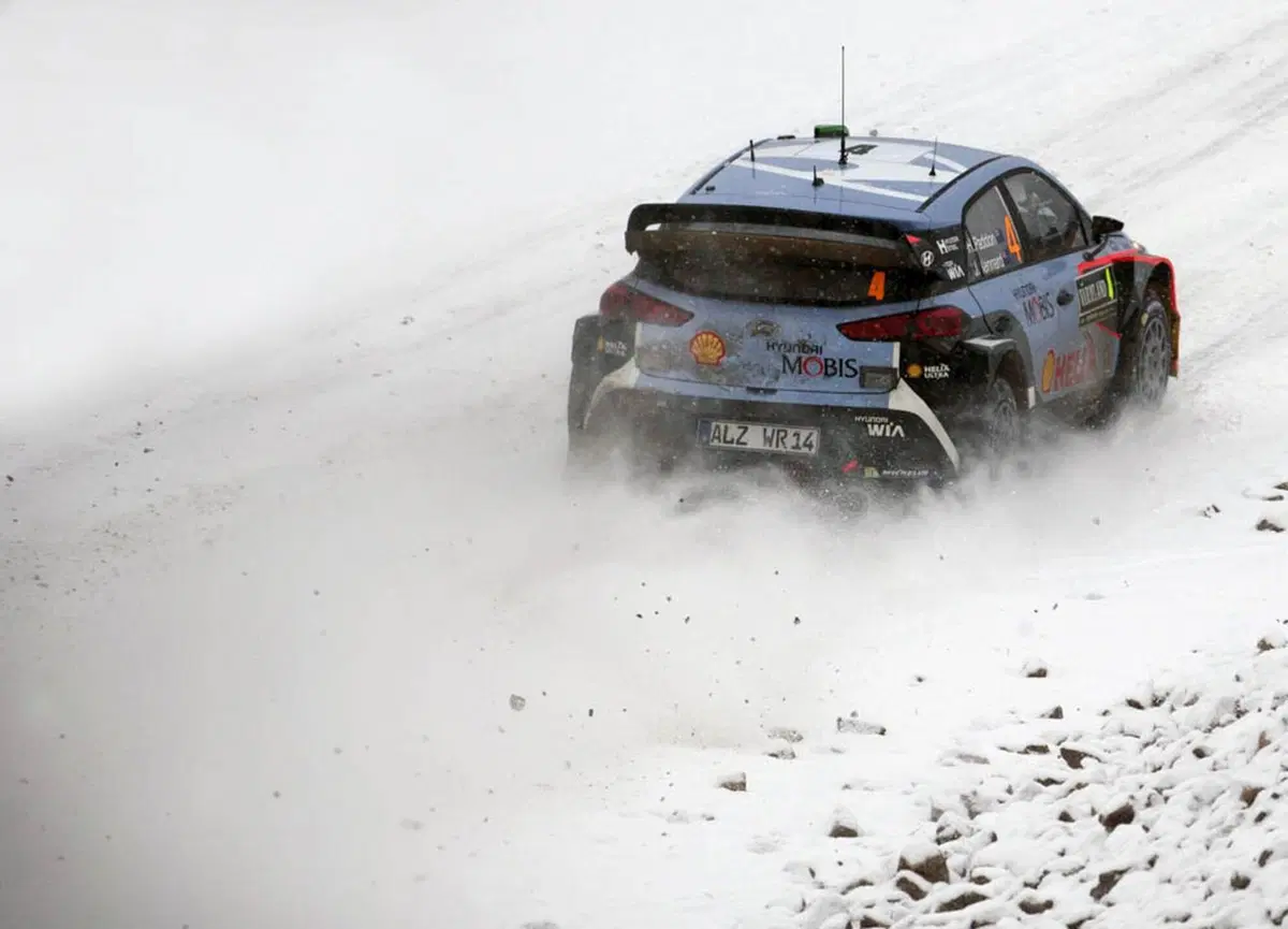 WRC 2016 con Hayden Paddon: Svezia (11)