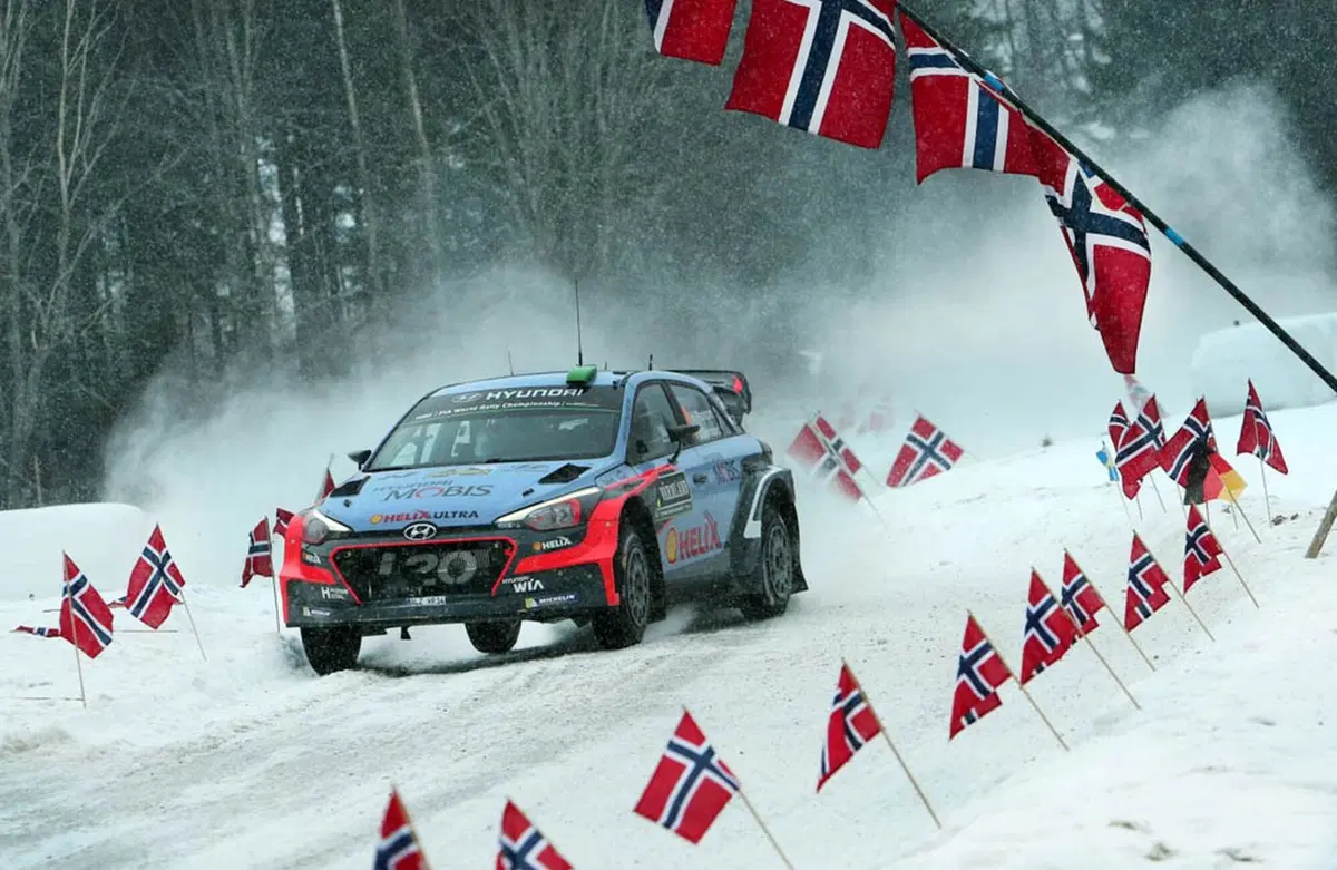 WRC 2016 con Hayden Paddon: Svezia (17)