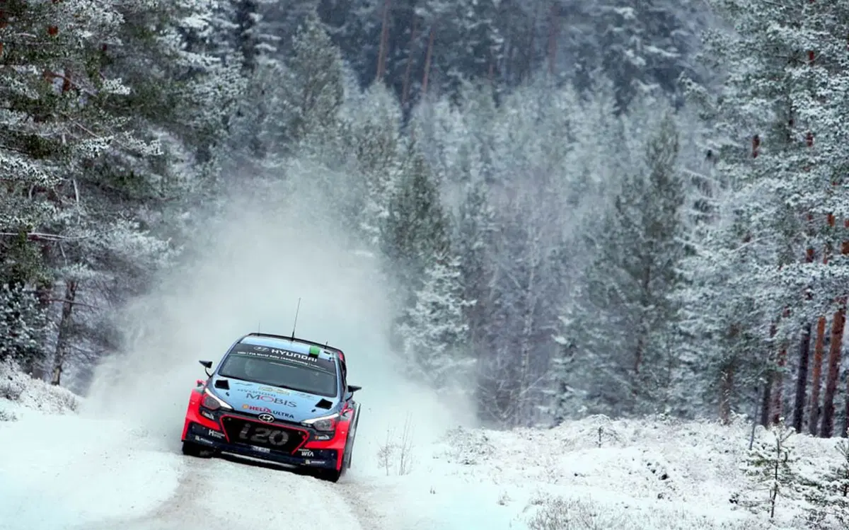 WRC 2016 con Hayden Paddon: Svezia (19)