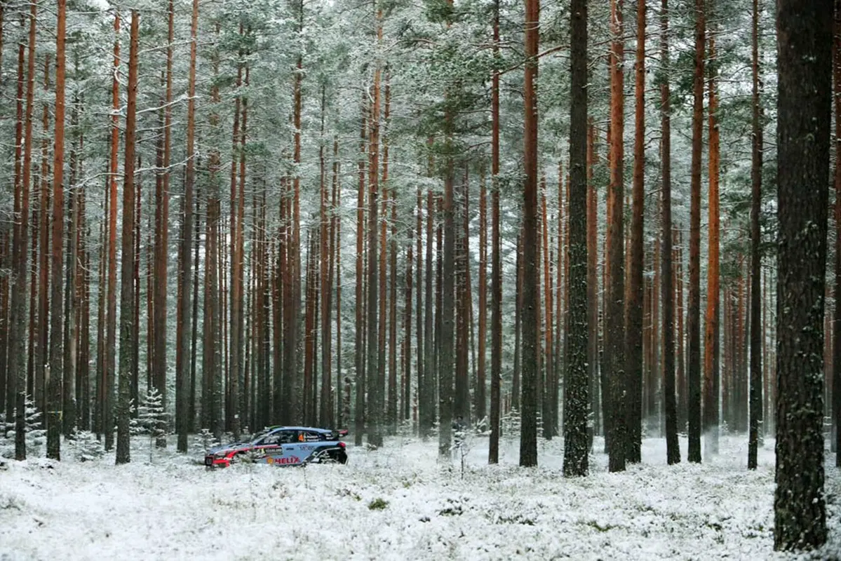 WRC 2016 con Hayden Paddon: Svezia (20)