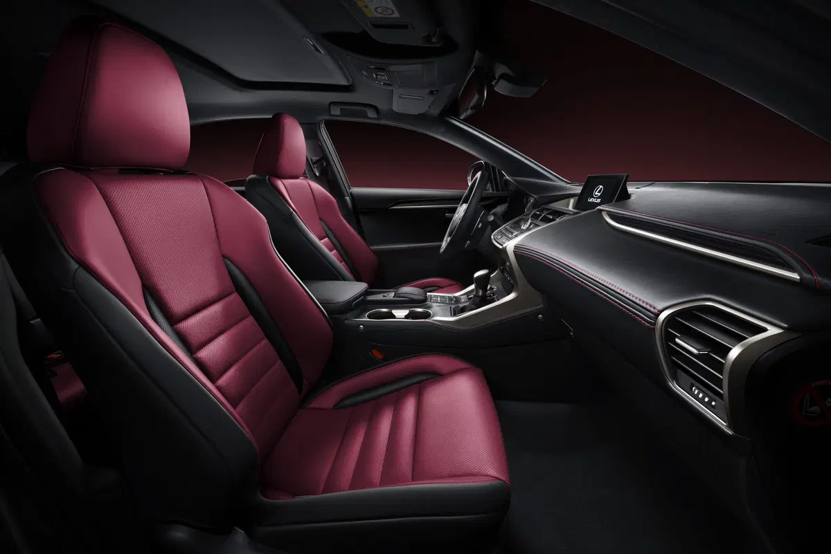 Lexus NX Hybrid 4WD Business (12)