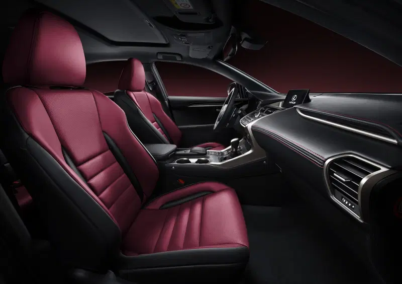 Lexus NX (2014-22) (12)